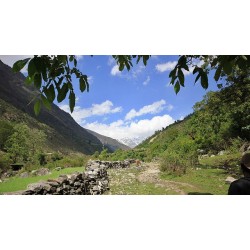 Dodital Yamunotri Trek 7N/8D